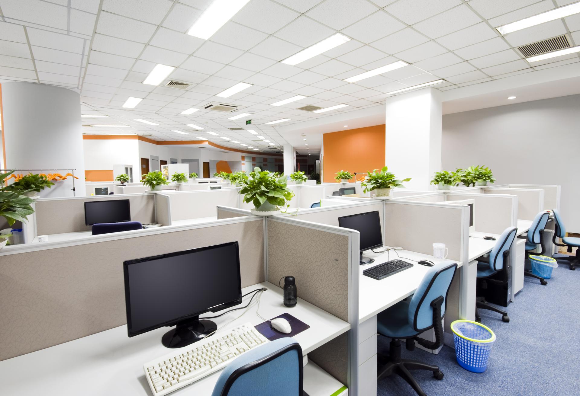 Cost-Effective Commercial Cleaning in Sutherland Shire